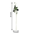 thumbnail image 3 of Efavormart Pack of 2 38" Black Silk Long Stem Roses, Artificial Flowers Rose Bouquet Home Decor for Bridal Wedding Centerpieces Birthday Party Garden Floral Arrangement, 3 of 11