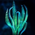 thumbnail image 4 of Aquarium Decorations, Artificial Aquatic Plants Soft Silica with Base for Saltwater Tank Decor, Realistic Low Maintenance, 4 of 7