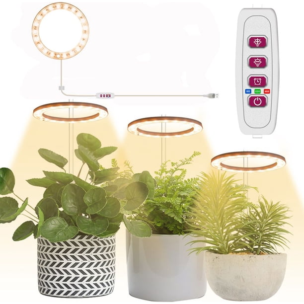 Lámpara colgante circular, diseño moderno, fácil instalación, 1 anillo, luz suave de alto brillo, eficiencia energética, amplia aplicación para decoración del hogar, altura ajustable, blanco cálido,