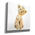 thumbnail image 2 of Epic Graffiti 'Simba' by Kim Curinga, Canvas Wall Art, 18"x18", 2 of 8