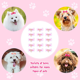 thumbnail image 5 of Paquete de 15 lazos para mascotas, productos de moda para el cuidado de mascotas, tela de poliéster con bandas de goma para gatos MFZFUKR CPB-DE-LYY2137-1, 5 of 5
