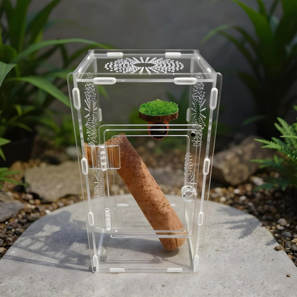 Acrylic Reptiles Enclosure LeakProof Lid Airflows Holes Secure Housing Spiders Terrarium For Mantises Habitats