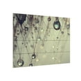thumbnail image 2 of Beata Czyzowska Young 'Forgotten Wishes' Wood Slat Art, 2 of 3
