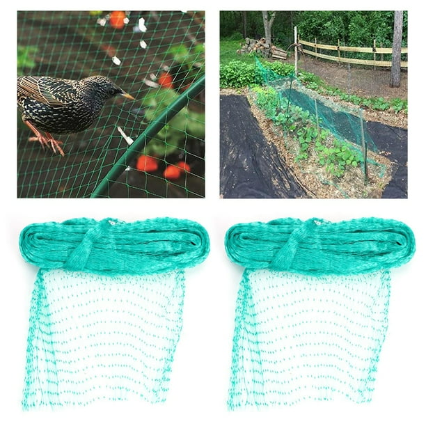 FILET PROTECTION OISEAUX 2x10m