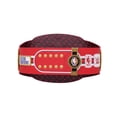 thumbnail image 4 of Chicago Bulls WWE Legacy Title Belt, 4 of 7