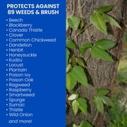 BioAdvanced Brush Killer Plus, Ready-to-Use, 1 gal, Kills Poison Ivy, Blackberry, Kudzu and more
