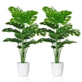 thumbnail image 1 of Plantas artificiales Monstera Deliciosa SAJANDAS con macetas de 70 cm, 1 of 9