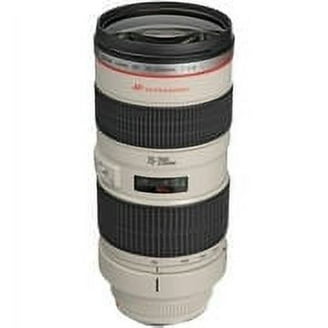 Canon EF 100mm f/2.8L Macro IS USM L-Series Lens (3554B002