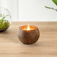 thumbnail image 3 of Coco Casa Handmade Coconut Shell Candle - Coconut Mango - 4" x 4" x 2 3/4" - 10 count box, 3 of 10