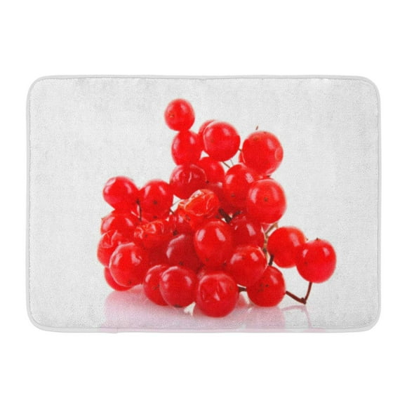 YUSDECOR Branch Berry Red Berries of Viburnum White Autumn Fruit Rug Doormat Bath Mat 23.6x15.7 inch