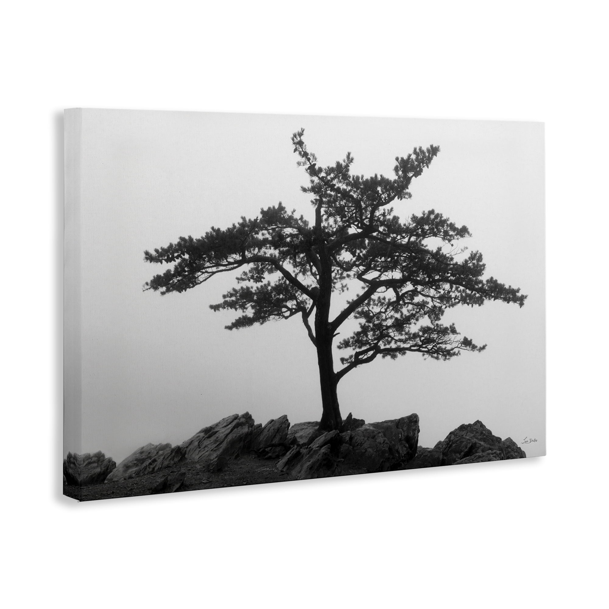 Stupell Industries Lone Tree on Rocks Landscape & Nature Photography Wrapped Canvas Art Print Wall Art, 30 x 20
