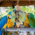 thumbnail image 3 of 3pcs Bird Shredding Toy Parrots Chewing Hanging Toy Bird Cage Accessory Parrot Cage Shredding Toy, 3 of 8