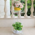thumbnail image 6 of NWOKYZGH Metal Plant Stand 2 Tier Indoor Outdoor, Tall Flower Pot Shelf Rustproof Stable Corner Stand, Multiple Plant Display Rack for Living Room Patio Balcony Garden, 6 of 6