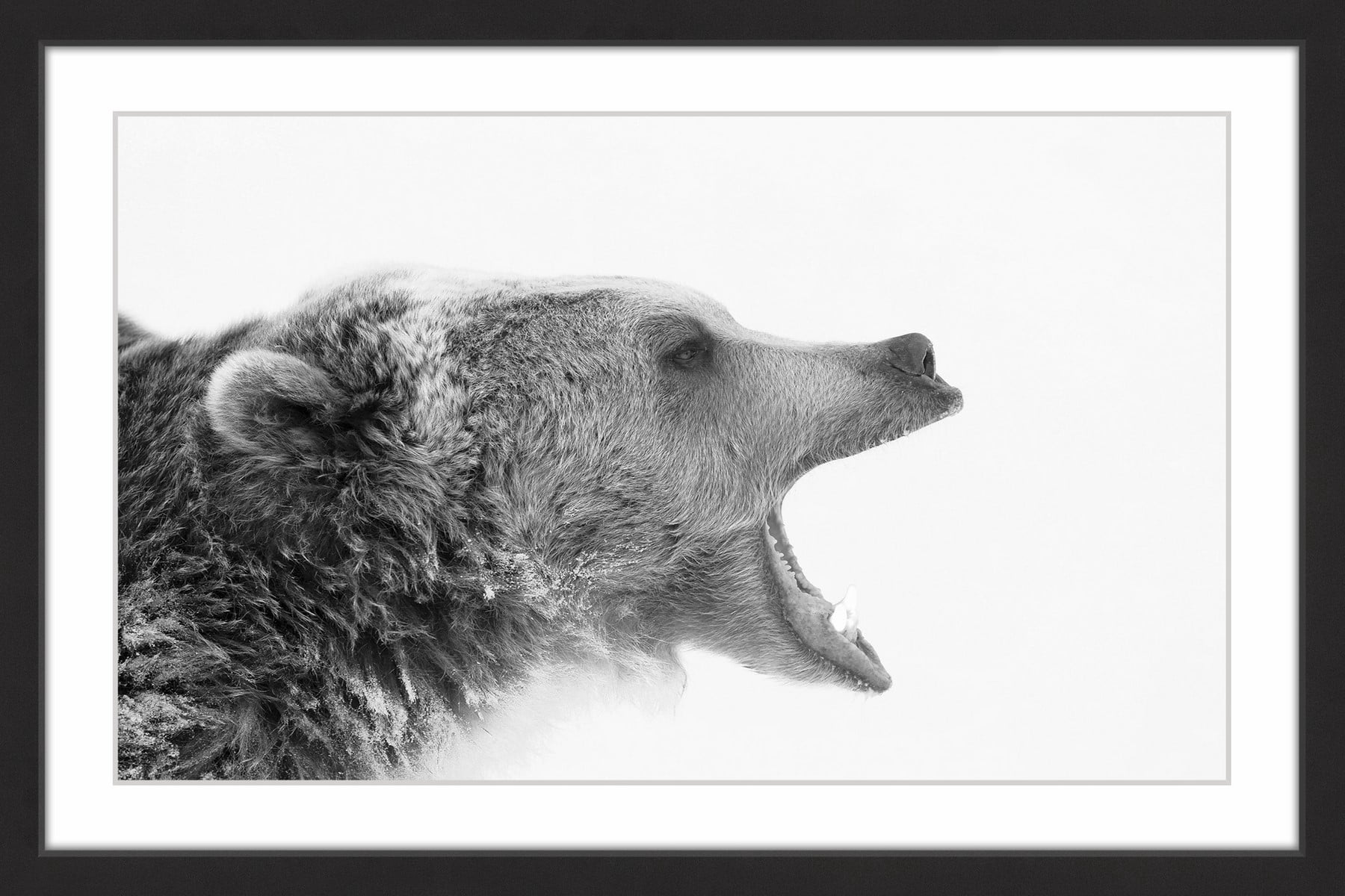 "Call of the Wild" Framed Painting Print