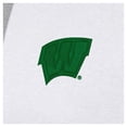 thumbnail image 2 of Men's-Antigua  White Wisconsin Badgers St. Patrick's Day Fleece Raglan Victory Pullover Hoodie, 2 of 2