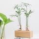 thumbnail image 4 of Estación de propagación de Plantas, Terrario de Plantas Tubo de ensayo de Vidrio Transparente Maceta Florero de Plantas hidropónicas Contenedor de terrario Decoración para el hogar con Estante, 4 of 11