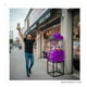 thumbnail image 3 of Maquina De Peluches Garra Grande Galaxy Claw Negocio Morado, 3 of 6