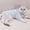B, variant on Pet Winter Vest for Small Medium Dogs Cats, Warm Sweater for Puppy Kitten, Cozy Cold Weather Clothes with Easy On Design, Comfortable Holiday Pet Outfit (Multiple Sizes)