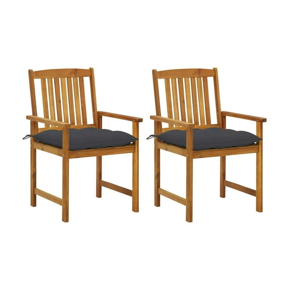 Blaire Outdoor Chair Set of 2- Charcoal Gray Fabric- Brown Acacia Wood