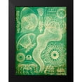 thumbnail image 2 of Butler, John 15x18 Black Modern Framed Museum Art Print Titled - Sealife I, 2 of 5