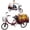Red, variant on ICEELF 20 Inch Adult Tricycle, 3-Wheel Cruiser Bike for Women, Men and Seniors, Passenger and Cargo Trike with Front Basket, Low Step-Through Bicycle for Shopping, Recreation and Outdoor Riding