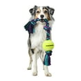 thumbnail image 2 of Mammoth Flossy Chews Cottonblend 3 Knot Tug with 4" Tennis Ball Rope Dog Toy, Large, 24", Assorted Colors, 2 of 7