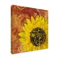 thumbnail image 4 of Trademark Fine Art Cora Niele Sunflower - Love of Light Canvas Wall Art - 14x14, 4 of 4