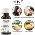 thumbnail image 3 of Nuvo Wellness Huile de Romarin Biologique 30 ml, 3 of 6