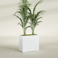 thumbnail image 2 of Greenline Fiberglass Alice Rectangle Planter - Indoor/Outdoor Large Fiberglass Lightweight Planter - 36" x 16" x 32" (Matte White), 2 of 7