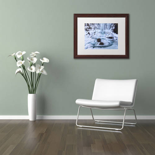 Trademark Fine Art "Frosty Falls" Canvas Art by Michael Blanchette Photography White Matte, Wood Frame