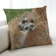thumbnail image 1 of Ahgly Company Animals Meerkat Indoor Throw Pillow, 18 inch by 18 inch, 1 of 6