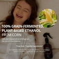 thumbnail image 4 of hetras Multi Fragrance Life Spray 300ml x 2 - Jeju Saryeoni Forest, 4 of 6