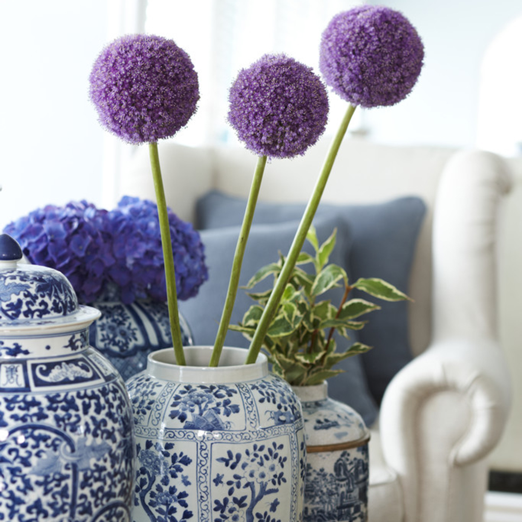Van Zyverden Allium Giganteum Set of 1 Bulb Purple Part Sun