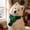 Green BS, variant on AuroraX Premium Knitted Pet Christmas Scarf Dog Costumes for Small Dogs Warm Adjustable Soft Lightweight Christmas Pet Apparel Accessories Green