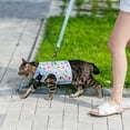 thumbnail image 7 of Pet chest harness and drawstring lightweight, soft, breathable mesh walk-in harness suitable forsmall, medium and large cats. Adjustable and easy to control harness to prevent escape, 7 of 7