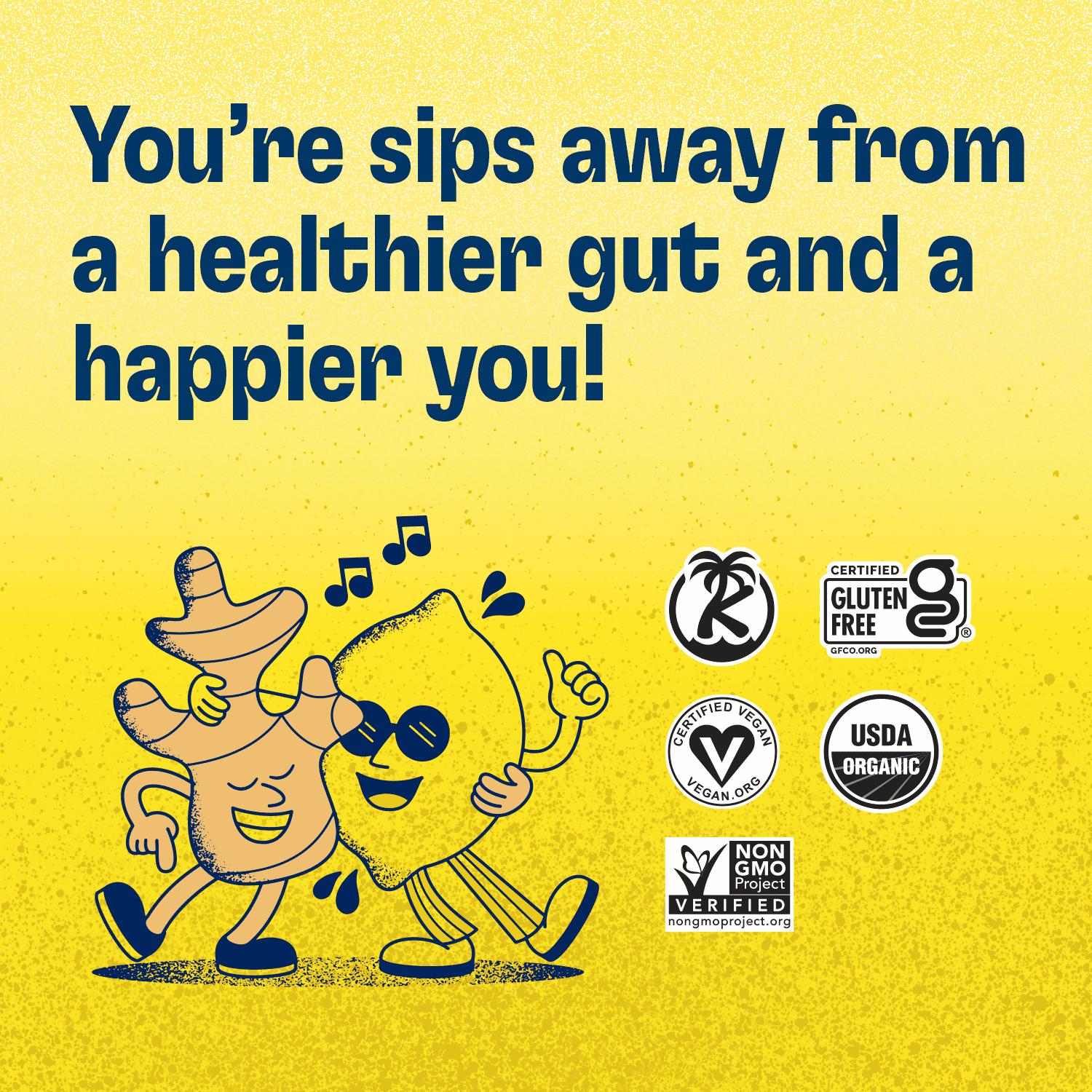 Health-Ade Probiotic Kombucha Tea, Ginger Lemon, 16 fl oz