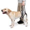 thumbnail image 1 of Arnés de soporte para perros GabeFish para patas traseras gris pequeño, 1 of 6