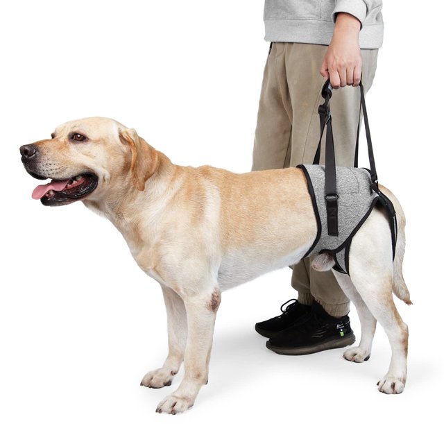 Arnés de soporte para perros GabeFish para patas traseras gris pequeño