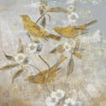 thumbnail image 3 of Nan 20x20 Black Modern Framed Museum Art Print Titled - Aviary Garden II, 3 of 5
