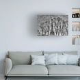 thumbnail image 2 of Canvas Wall Art - Philippe DEMARIA 'Reflection' Wall Art for Living Room, Bedroom, or Office D?cor by Trademark Fine Art - 19 x 12 Inches, 2 of 4