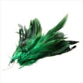 thumbnail image 4 of Aprox. 200Pcs Tenio la Pluma Verde del Gallo de la Decoracion, 4 of 5