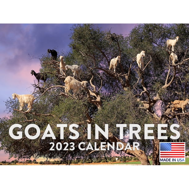 goats-in-trees-calendar-2023-monthly-wall-hanging-calendar-moroccan-goats-trees-cute-funny-farm-animals-large-planner-24-months-full-2023-write-on-grid-plus-bonus-2024-preview-chart-made-in-usa-walmart-com