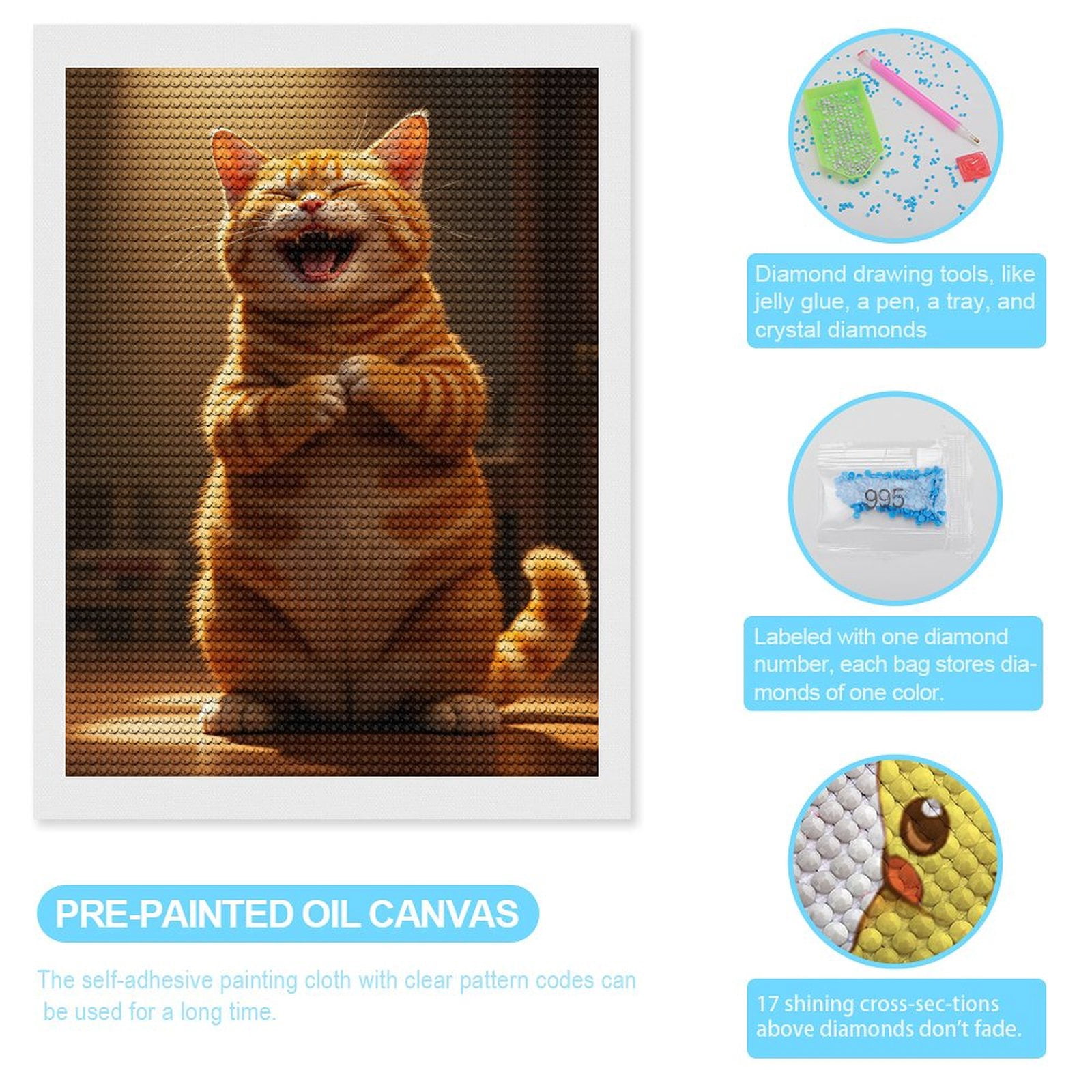 Diamond Art Kits for Adults, Smiling Orange Cat Standing Indoor 5D Diamond Painting Kits for Adults Beginners, DIY Full Drill Diamond Painting, Gem Art and Crafts 12x16