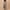 01 * Khaki, variant on amkenre Wide Leg Pants Woman Belt Lace Fold Plus Size Long Capris Loose Cropped with Pocket Solid Color Straight Leg Lounge High Waisted Comfortable Trousers