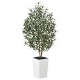 thumbnail image 2 of DR.Planzen 5FT Tall Artificial Olive Tree with Tall White Planter, UV Resistant Silk Leaves & Real Wood Trunk | Home Office House Outdoor Decor, 2 of 5