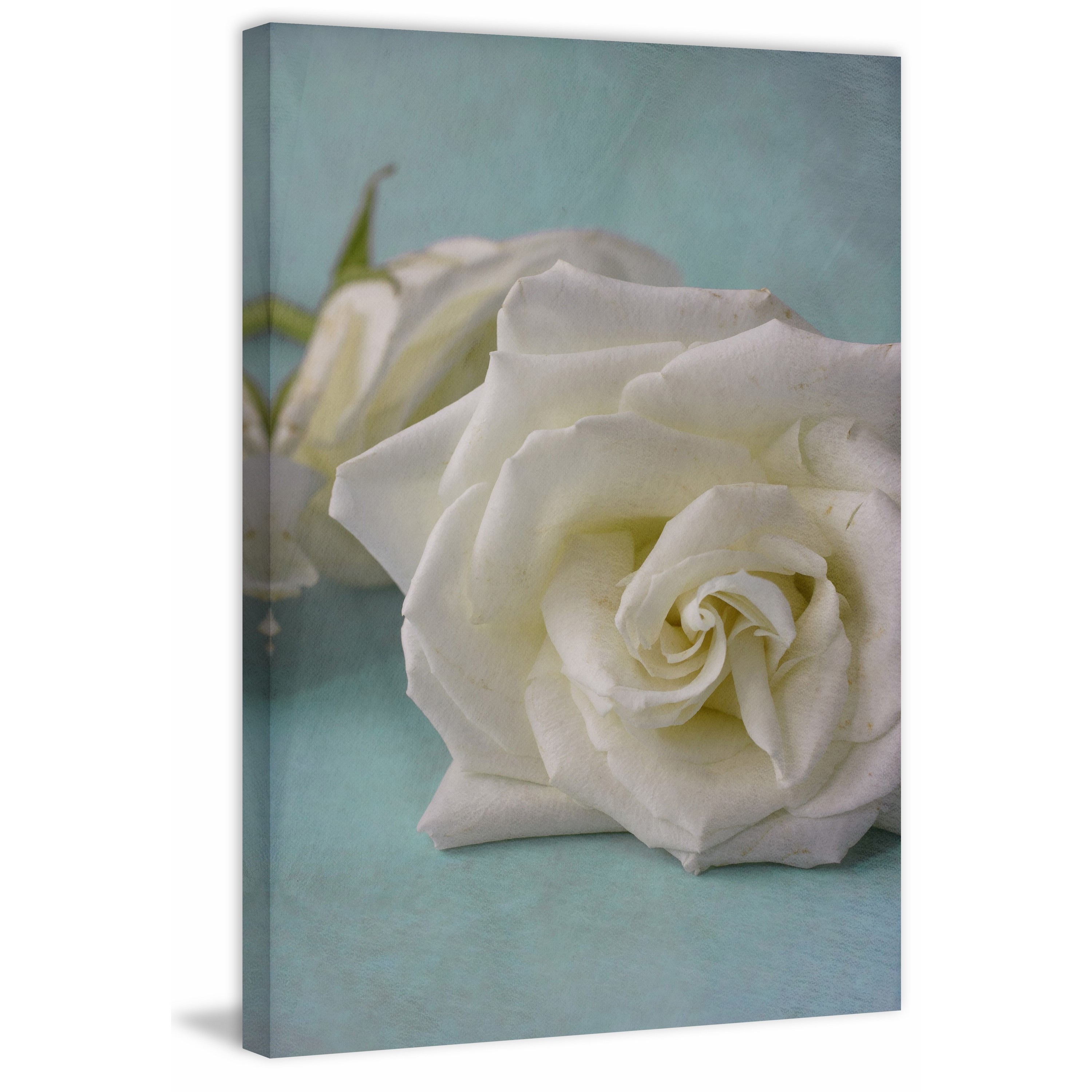 "The Original White Rose" Painting Print on Wrapped Canvas