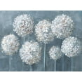 thumbnail image 2 of Nai, Danhui 32x25 Black Ornate Wood Framed with Double Matting Museum Art Print Titled - Simple Agapanthus, 2 of 4