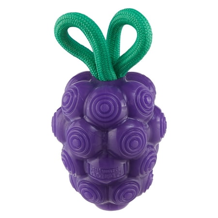 Outward Hound by Planet Dog Dental Grapes 2-in-1 Interactive Dog Chew Toy and Treat Stuffer, Medium, Purple
