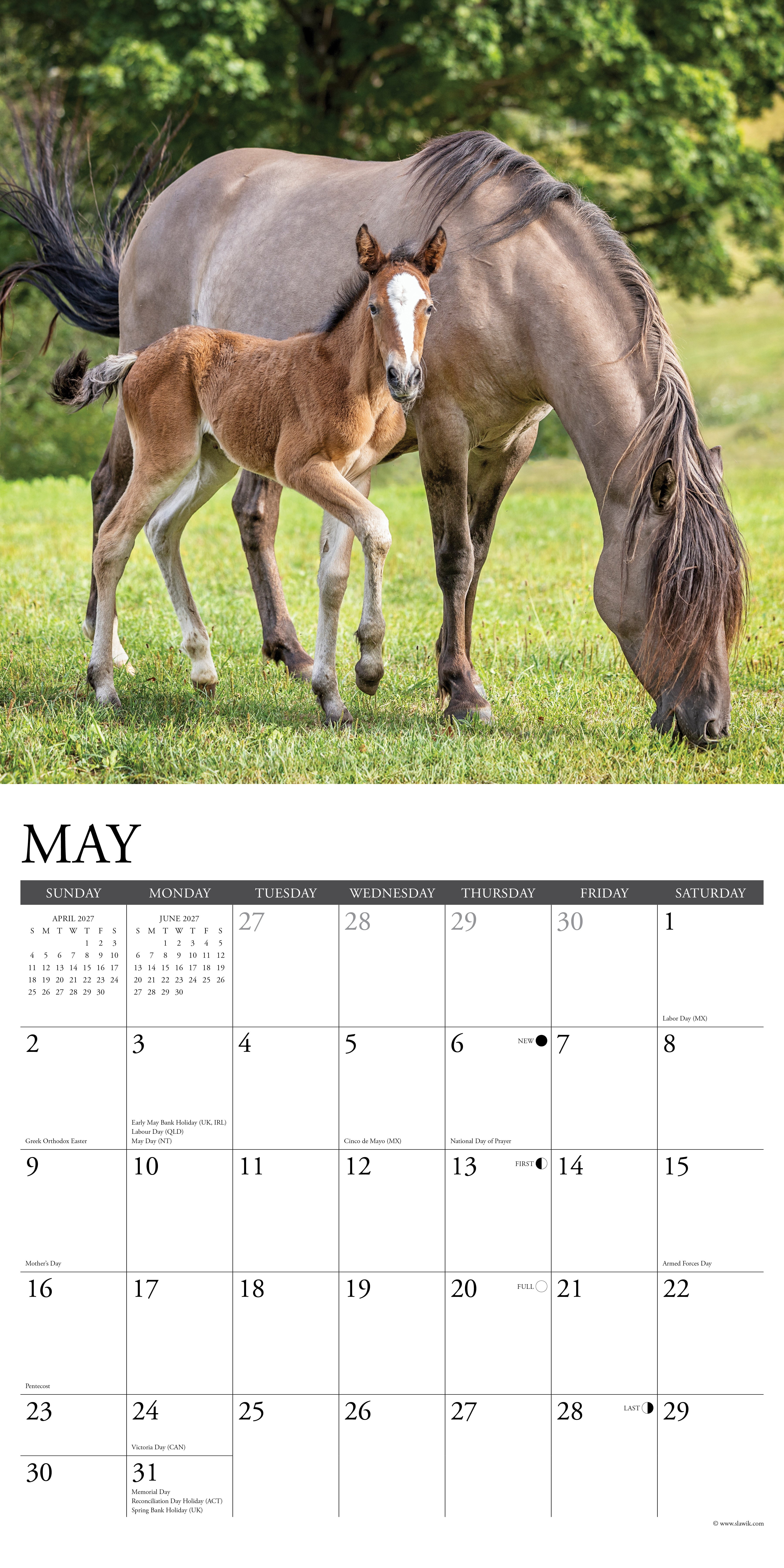 Willow Creek Press, Horses 2027 Wall Calendar