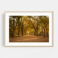 thumbnail image 2 of Autumn in Central Park, New York 03 - Manhattan New York Photography Unframed Wall Art Print 8 x 12 inches, 2 of 7